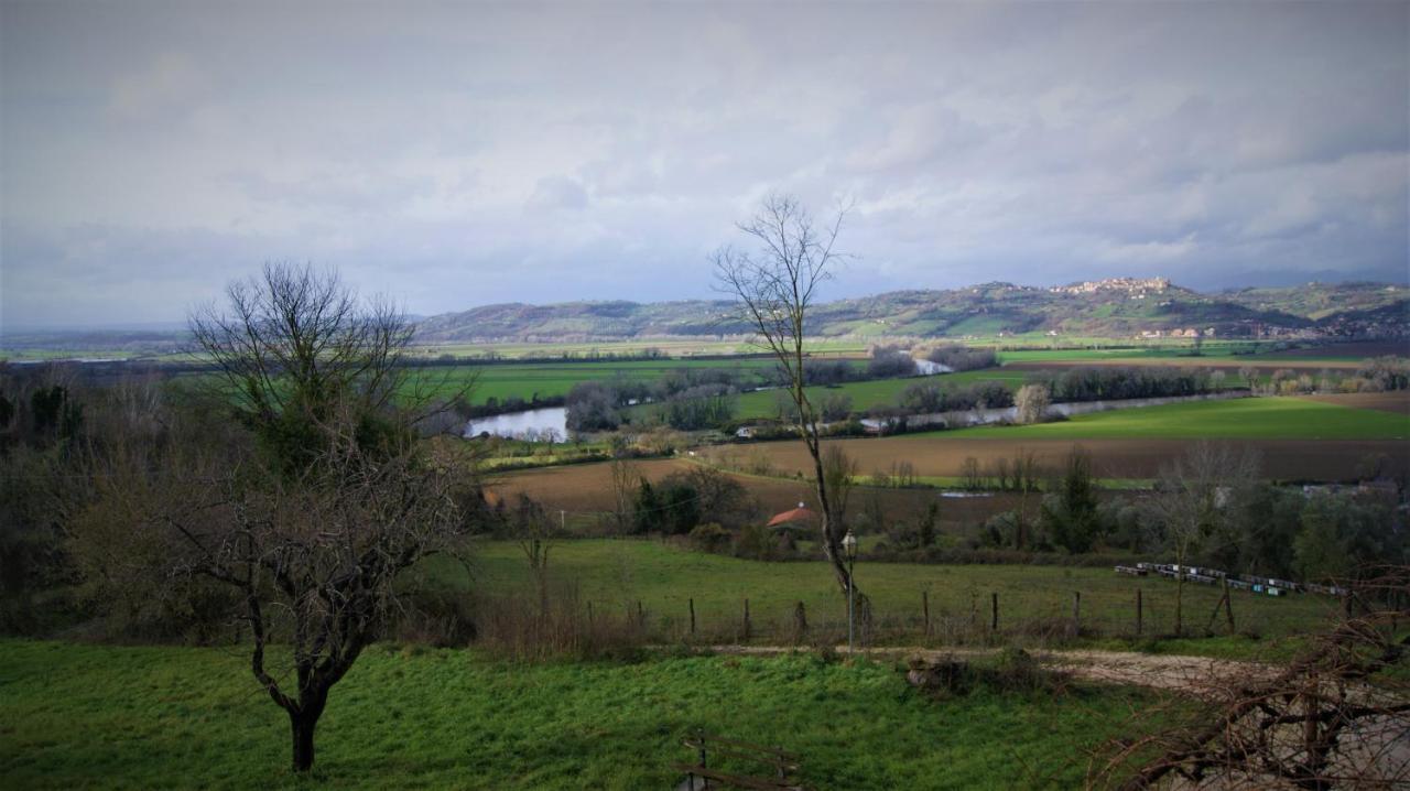 Agriturismo Monterone Ponzano Romano Eksteriør billede